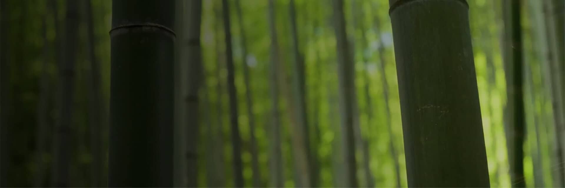 THE QUIETEST MOMENTS<br/> ARE THE MOST POWERFUL