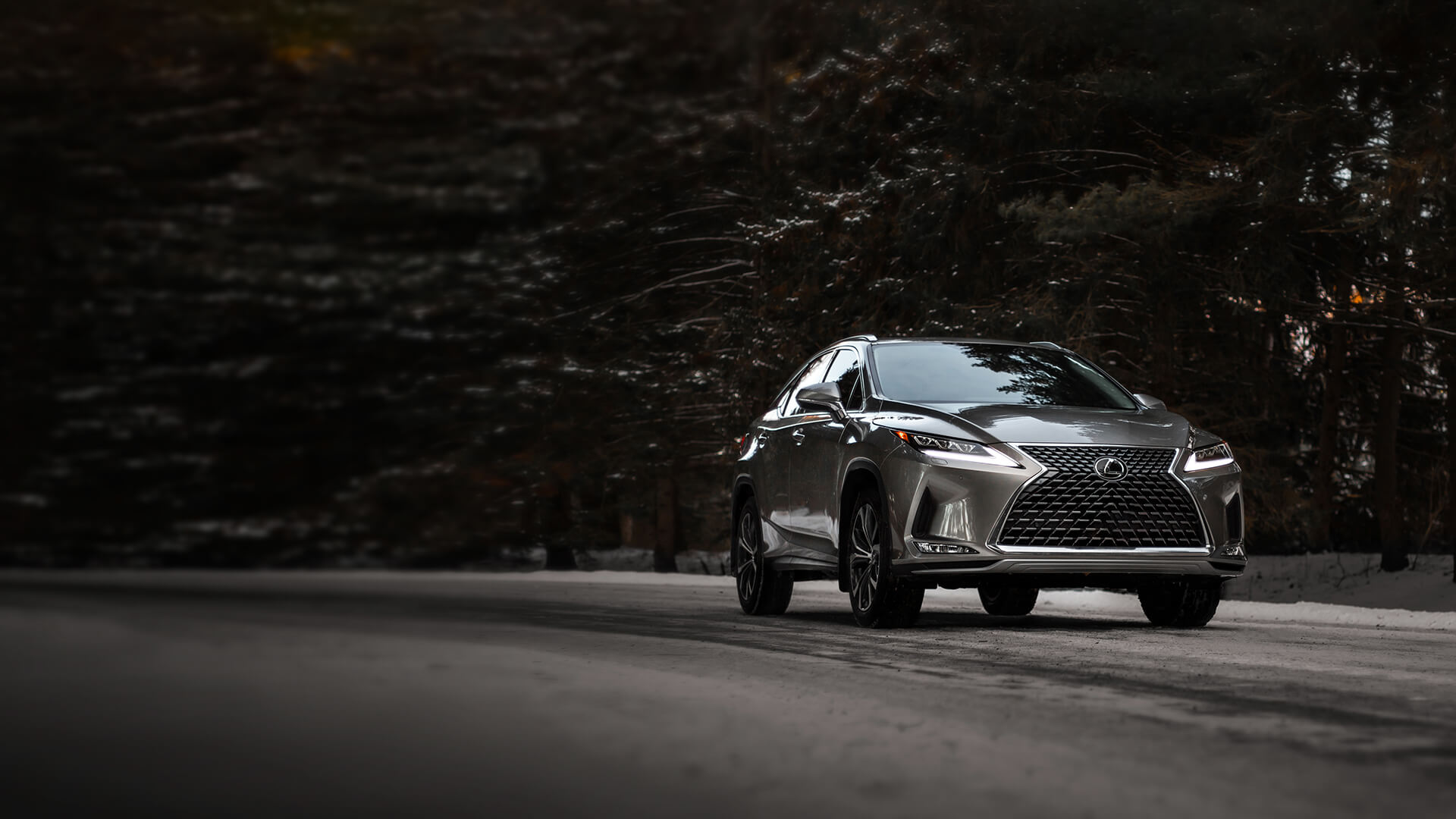 Silver Lexus RX being driven on the road with a forest in the backdrop.