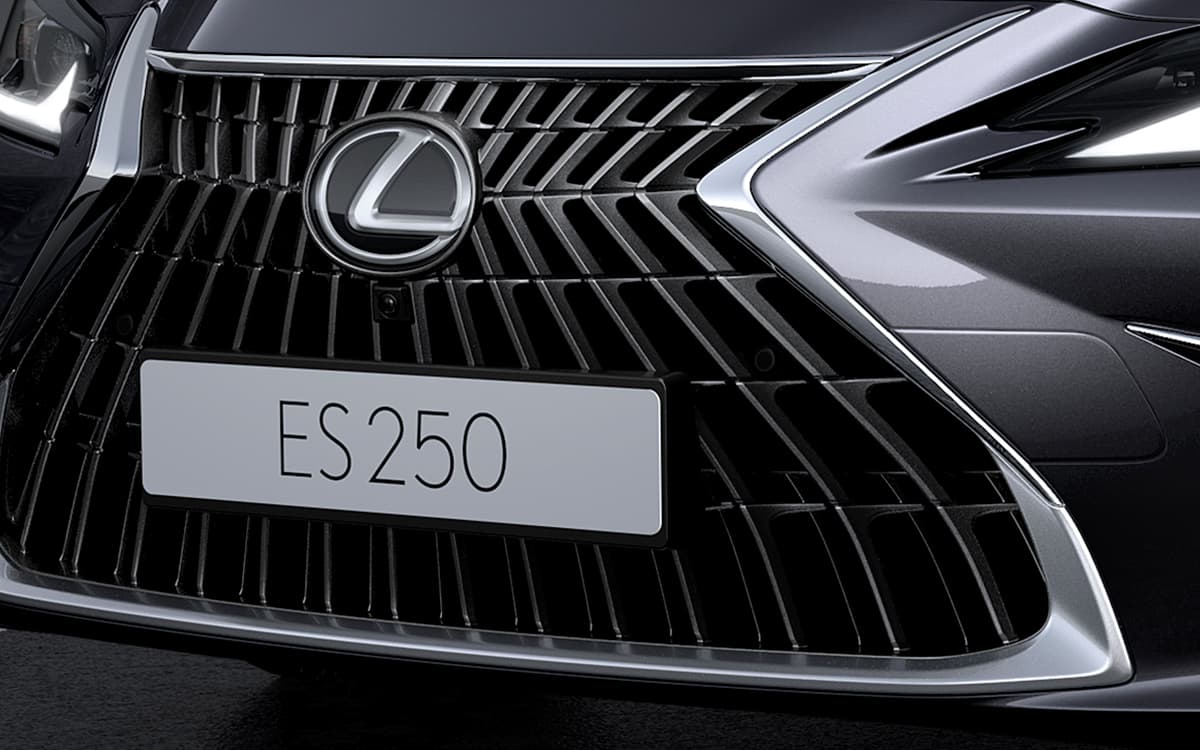 UNIQUE SPINDLE GRILLE