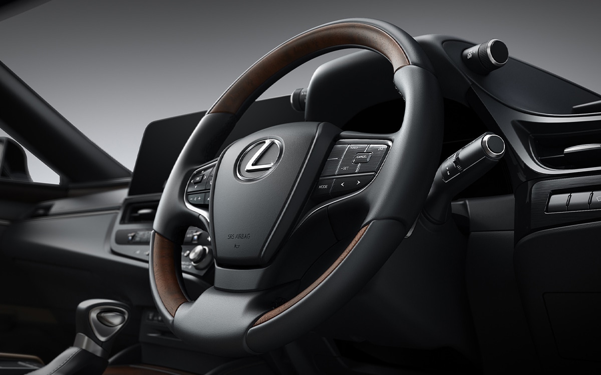 EMERGENCY STEERING ASSIST