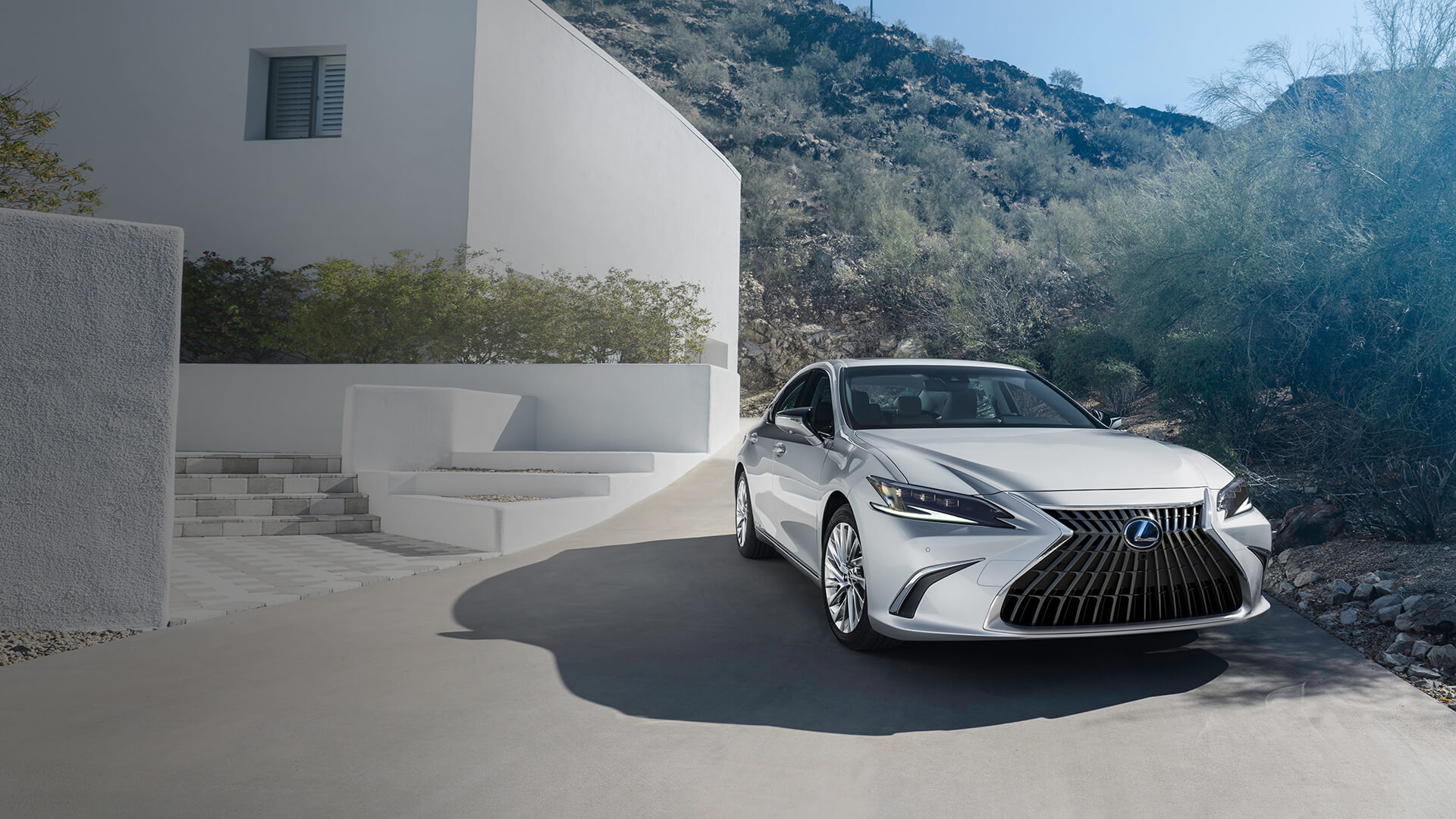 Hinh anh 10. Lexus 1