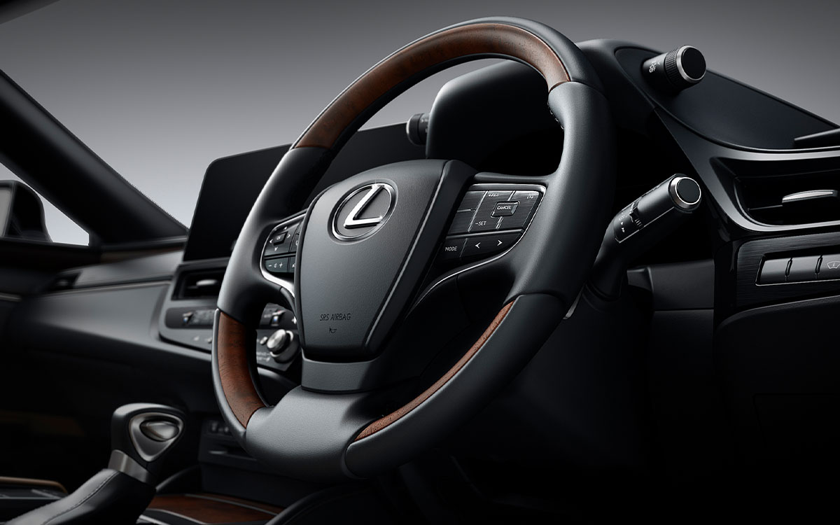 LEATHER-WRAPPED STEERING WHEEL